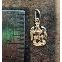 Pendentif argent 925/1000...