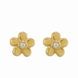 Boucles d'oreilles or...